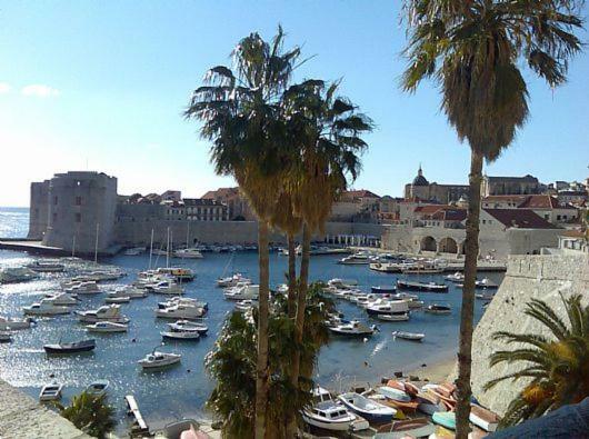 Serendipity Dubrovnik Centre-Free Parking Esterno foto
